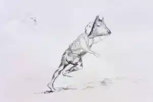 Han Mes - Voortvluchtend, litho kopen? Bied vanaf 40!