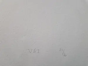 John Studulski - Amsterdam 1985 'nieuwe wilden' kleuren lithografie "V&I" potloodgesigneerd kopen? Bied vanaf 48!