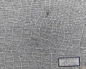Etienne Bosch - 2 etsen 'Rome' en 'Venetië' kopen? Bied vanaf 70!