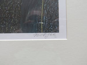 Pjeroo Roobjee - Kapoenen kopen? Bied vanaf 45!