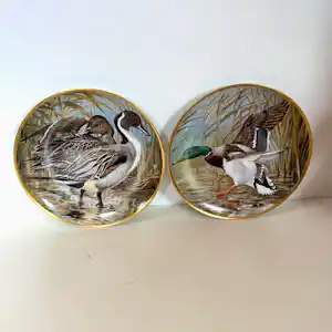 Basil Ede - Basil Ede Porseleinen Borden-Wilde Eend & Pijlstaart-Franklin Porcelain verkocht voor € 25!