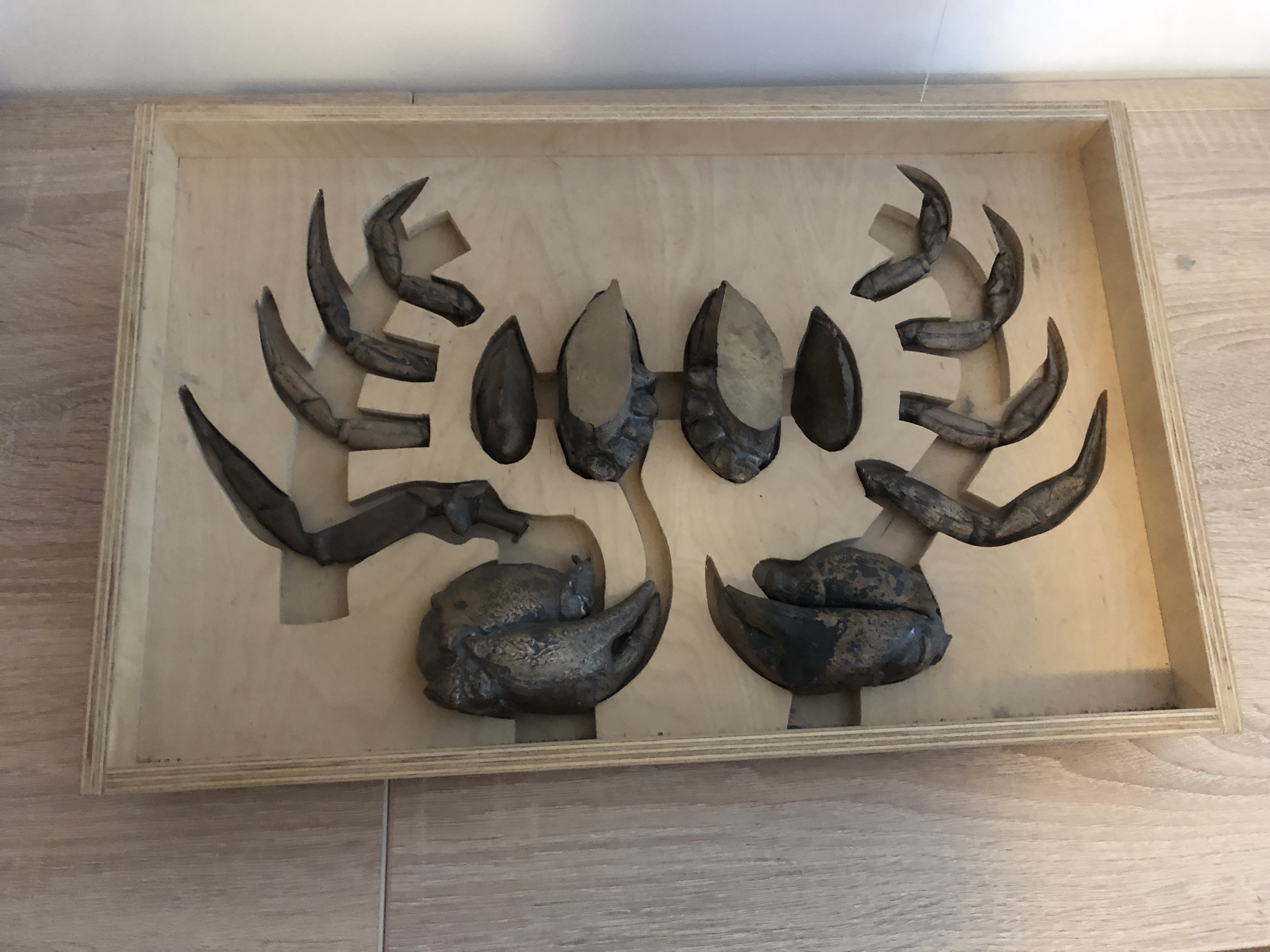 Krijn Giezen - Bestek voor het kraken en leegpeuteren van schaaldieren (8 personen), kopen? Bied vanaf 1250!