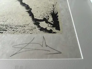 Salvador Dali - Don Quixote de la Mancha - 1957 kopen? Bied vanaf 995!