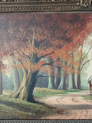 Onbekend - Hert in het bos kopen? Bied vanaf 50!