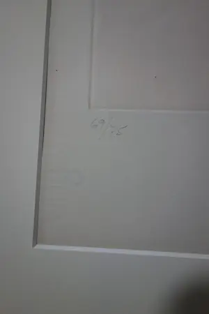 Salvador Dali - Espejo Vivo kopen? Bied vanaf 1600!