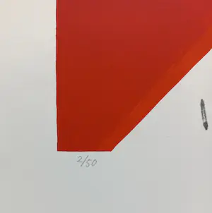 Jeroen Henneman - Rode Daken (Parc Editions), zeefdruk (groot) kopen? Bied vanaf 475!