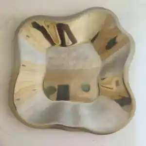 Iittala - Alvar Aalto collection RVS-schaal kopen? Bied vanaf 60!