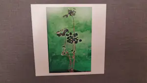 Raghu Rai - Trees - Magnum photos limited edition kopen? Bied vanaf 250!
