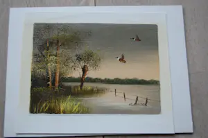 Niet of onleesbaar gesigneerd - polderlandschap met eenden kopen? Bied vanaf 1!