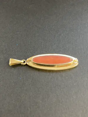 14 karaats geelgouden hanger met bloedkotaal kopen? Bied vanaf 90!