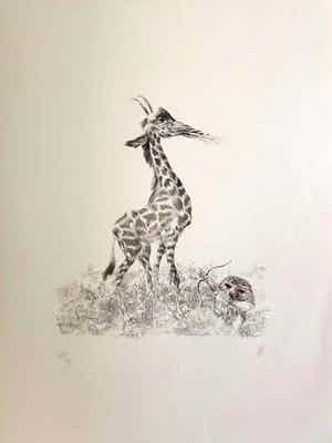 Peter Vos - De ontdekking van de giraffe verkocht voor € 40!
