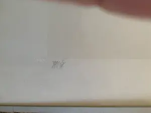 Peter Vos - Oude man met uil kopen? Bied vanaf 100!
