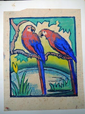 Niet of onleesbaar gesigneerd - Tropische vogels -aquarel- kopen? Bied vanaf 1!