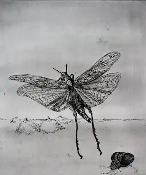 Marijke Hertog - Ets: libelle- 1975 verkocht voor € 49!