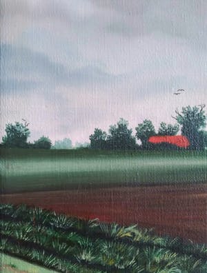 Niet of onleesbaar gesigneerd - Hollands platteland, olieverf, in mooie lijst kopen? Bied vanaf 1!