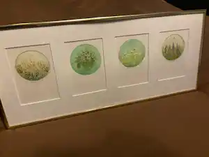 Truusje Mul - Truusje mul, mooie lijst verkocht voor € 50!