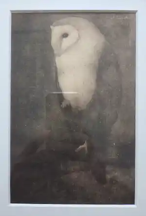 Jan Mankes - Uil op boomtak. Werk uit 1913. verkocht voor € 109!