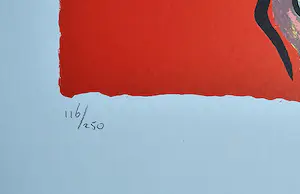 Peter Diem - Cow - handgesigneerd - 250 ex. kopen? Bied vanaf 49!