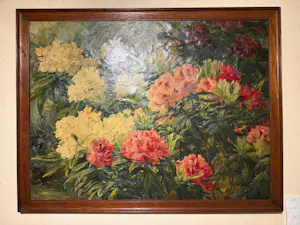Léonie Mottart-van Marcke - Chrysanthèmes kopen? Bied vanaf 949!