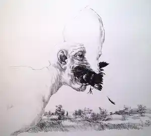 Peter Vos - Schiereiland melancholie- gesigneerde litho verkocht voor € 70!