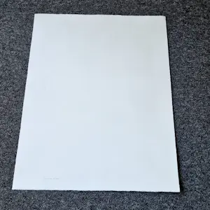 Teun Nijkamp - Grote kleuren zeefdruk "tekenen in de tuin" - gelimiteerde oplage (125) kopen? Bied vanaf 31!