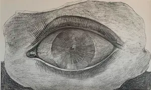 Max Ernst - Map met 34 werken: Histoire Naturelle - 1972 kopen? Bied vanaf 499!