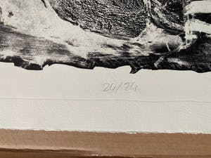 Werner Liebmann - Das Ziel, große Lithographie, signiert, datiert, numm. kopen? Bied vanaf 70!