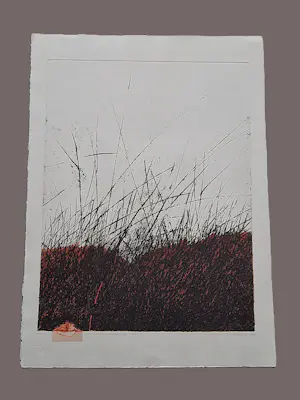 Andrzej Pietsch - Große handkolorierte Radierung "The Black - Red" sehr limiet. auflage (50) kopen? Bied vanaf 92!