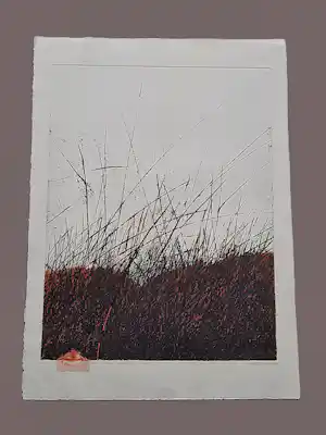 Andrzej Pietsch - Große handkolorierte Radierung "The Black - Red" sehr limiet. auflage (50) kopen? Bied vanaf 92!