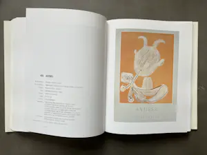 Pablo Picasso - Catalogue Raisonné - Picasso in his posters - 4 delen kopen? Bied vanaf 250!