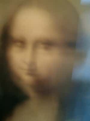 Evert Bongers - Mona Lisa 4 verkocht voor € 350!