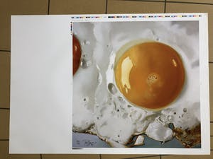 Tjalf Sparnaay - Ei/Egg kopen? Bied vanaf 350!