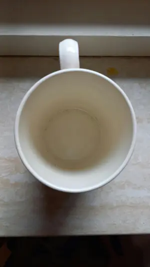 Wedgwood - Pelgrims beker kopen? Bied vanaf 25!