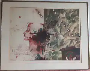 Vladimir Suchanek - profiel vrouw verkocht voor € 55!