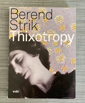 Berend Strik - Thixotropy kopen? Bied vanaf 30!