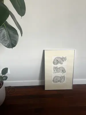 Ella van Schaik - Drie katten tekenen kopen? Bied vanaf 25!