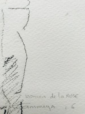 Edith Cammenga - Roman de la rose kopen? Bied vanaf 75!