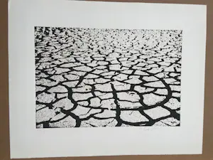 Menashe Kadishman - Cracked earth kopen? Bied vanaf 100!
