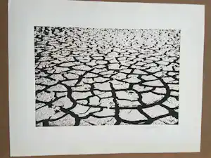 Menashe Kadishman - Cracked earth kopen? Bied vanaf 100!