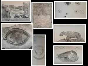 Max Ernst - Map met 34 werken: Histoire Naturelle - 1972 kopen? Bied vanaf 499!