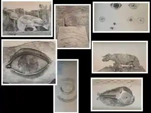 Max Ernst - Map met 34 werken: Histoire Naturelle - 1972 kopen? Bied vanaf 499!