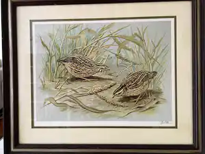Basil Ede - Quails in a summerfield verkocht voor € 10!