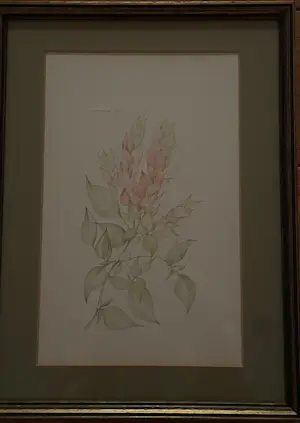 Margot Weemaes - Plantenverzameling kopen? Bied vanaf 150!