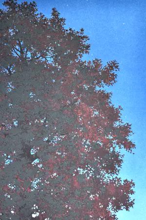 Rene Magritte - (naar), La voix du sang, Lithografie, 77,5x57,5 cm kopen? Bied vanaf 535!