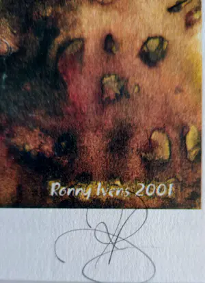 Ronny Ivens - 2001 (titelloos) kopen? Bied vanaf 40!