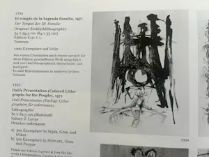 Salvador Dali - La Sagrada Familia - Fertigstellung 2026 kopen? Bied vanaf 999!
