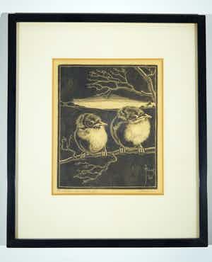 Jan Christiaan Maas - twee jonge vogels verkocht voor € 41!