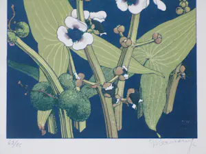 Jan Voerman (jr.) - Bloeiende plant - Kleurenlitho kopen? Bied vanaf 75!