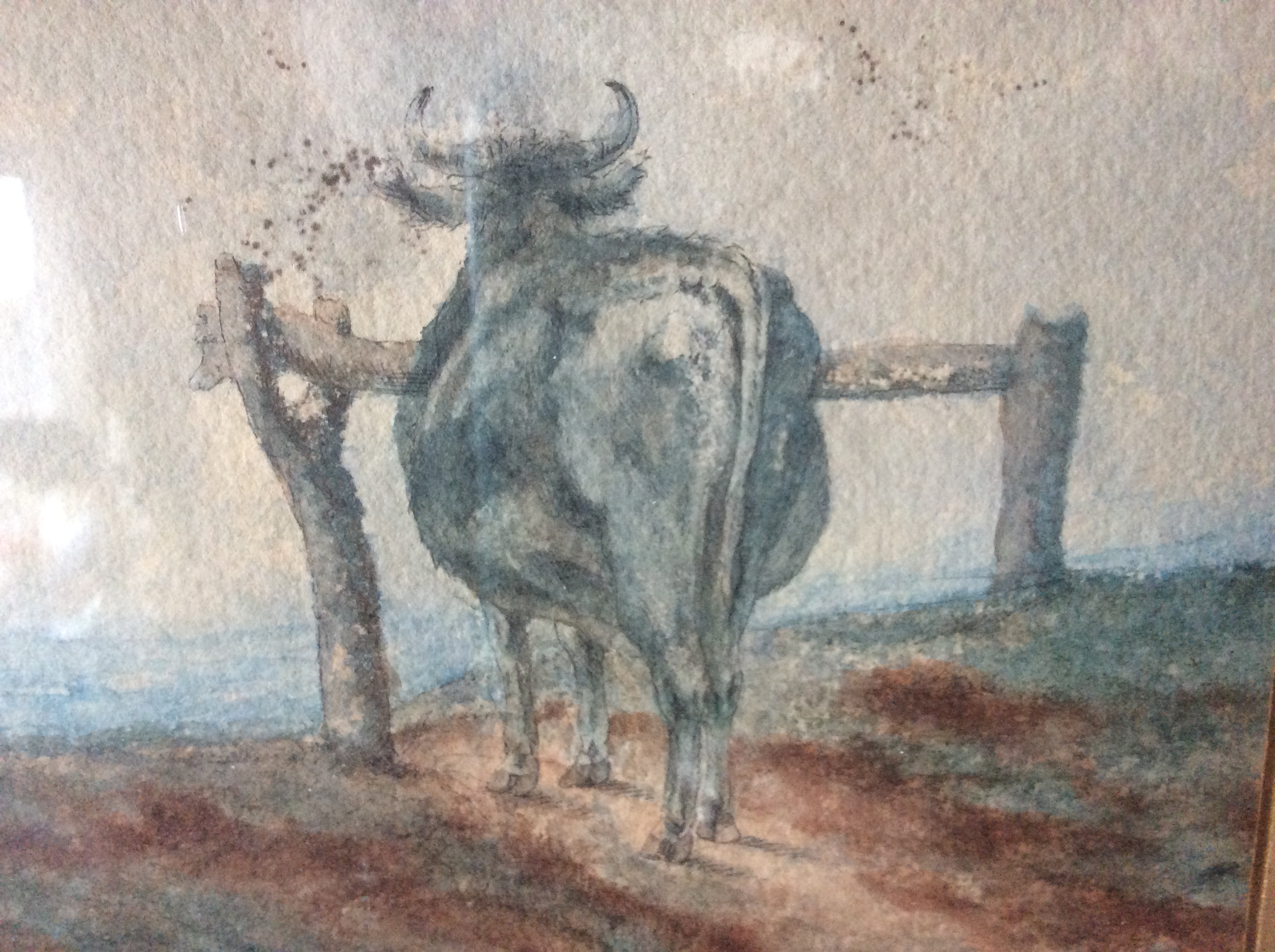 Niet of onleesbaar gesigneerd - Stier voor hek kopen? Bied vanaf 1!