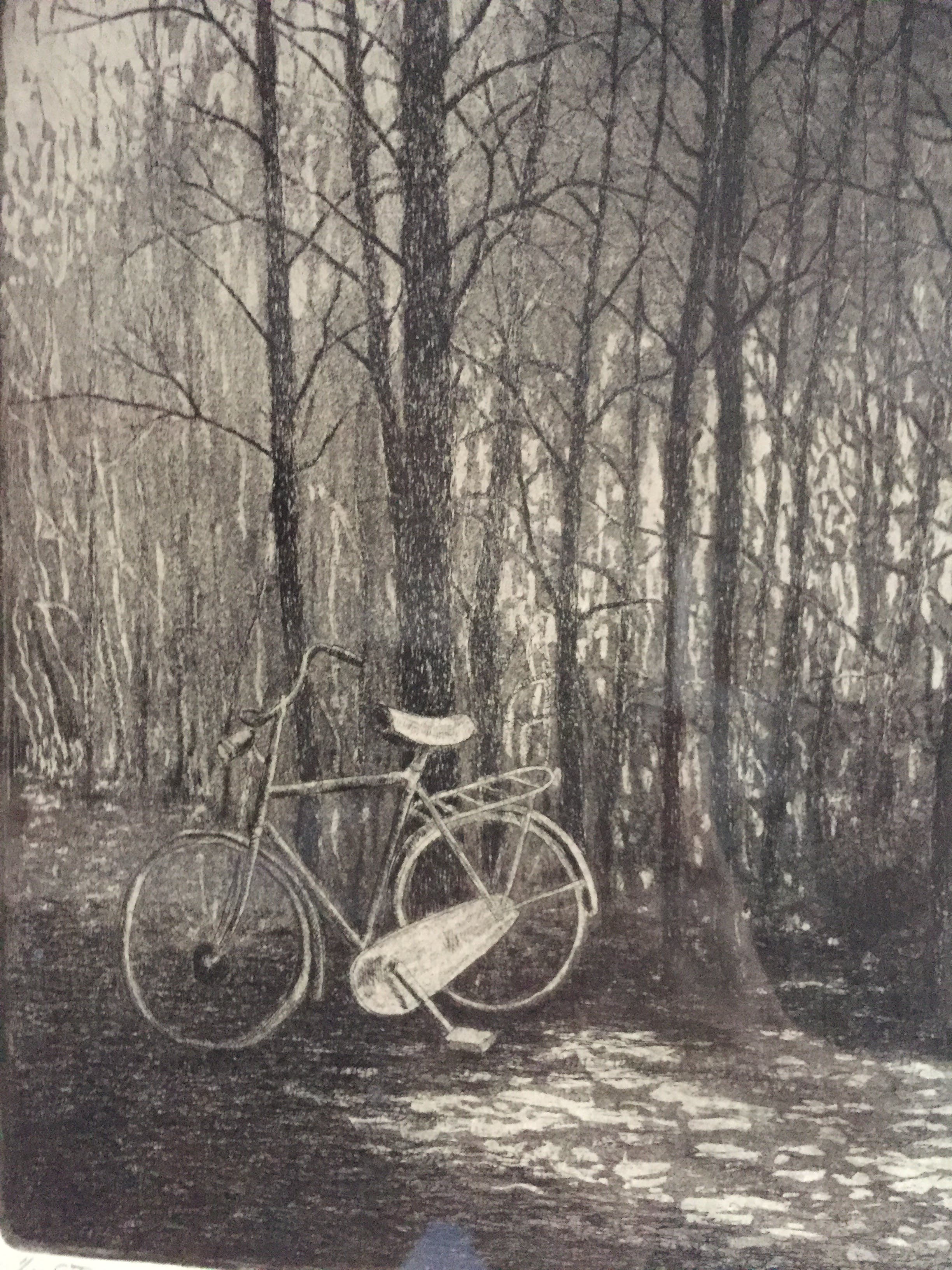 Folly Miedema - Setting the woods on fire kopen? Bied vanaf 1!